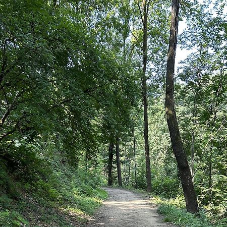 Il Giardino Di Berbech Citta Alta - Castagno Apartment Bergamo Luaran gambar